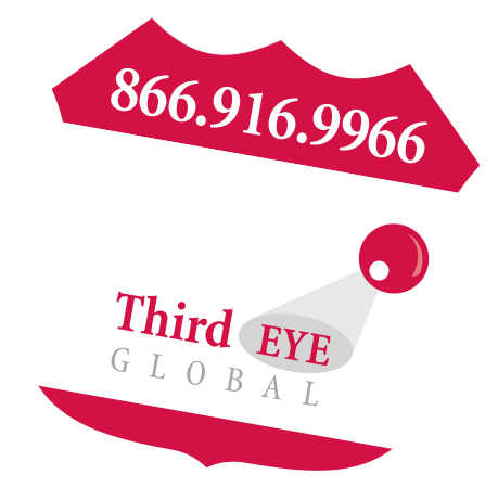 Third Eye Global badge